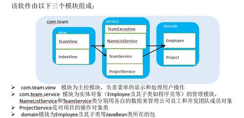 项目开发团队分配管理系统